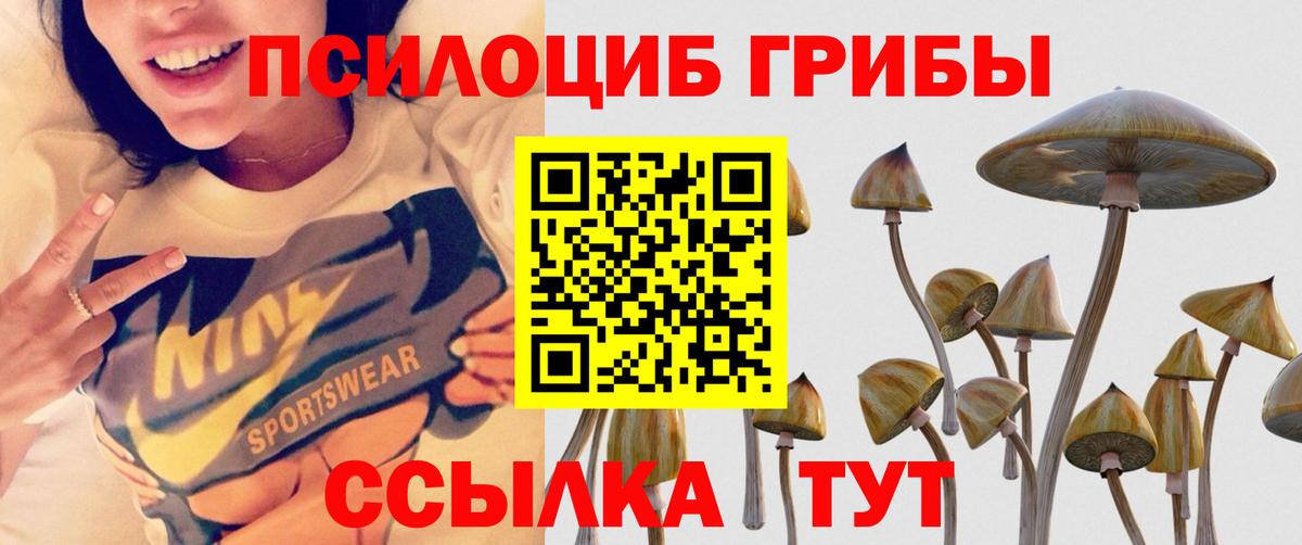 Галлюциногенные грибы MAGIC MUSHROOMS Кингисепп
